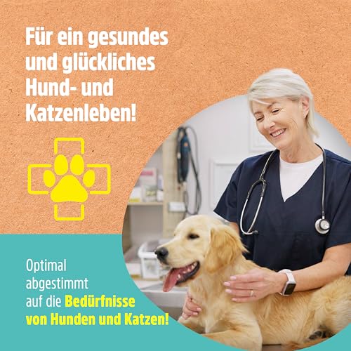 Green Hero Giardien EX Desinfektionsmittel Spray für Hund & Katze 500ml | Hochwirksam gegen Giardien, Bakterien, Viren & Pilzen | Dermatologisch getestet zur Desinfektion von Tieren und Umgebung