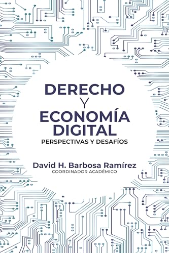 Derecho y economía digital: perspectivas y desafíos (Jurisprudencia)