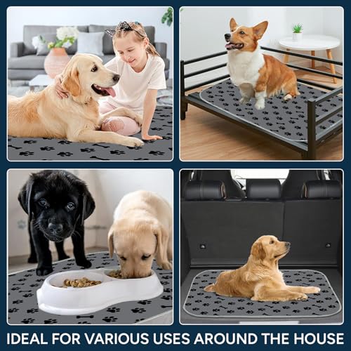 Image of Washable Pee Pad for Dogs, 100% Leak Proof Puppy Pee Pad, (18 inchx24 inch Pack of 1) Reusable Pet Pad for Dogs, Waterproof Puppy Pad Pet Training Pad, Dog Pee Pad Small