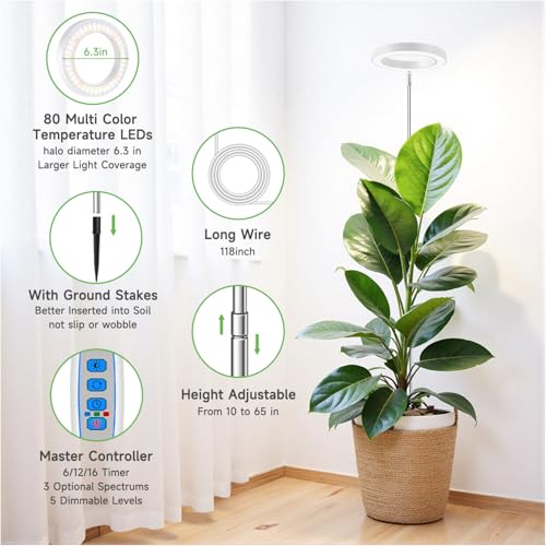 Image of Aokrean Halo Plant Grow Light for Indoor Plants, 6.3in Full Spectrum White | 1 Pack, 10-65 in Height Adjustable, 80 LEDs Growing Lamp with Auto Timer for 6 /12 /16Hrs, 3 Optional Spectrums, 5 Brightness
