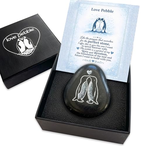 Faythory Cute Penguin Love Pebble – Romantic Penguin Stone Gift for Boyfriend,...