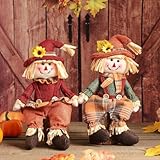BALONAR 2 Pack Fall Decorations for Home Plush Handmade Mini Sitting Scarecrow Dolls Autumn Boy Girl Figures Gnomes Doll with Sunflower for Thanksgiving Table Ornaments(Green Red)
