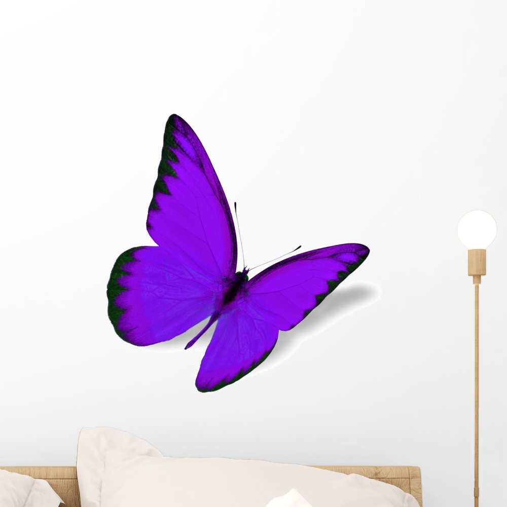 Amazon.com: Wallmonkeys Purple Butterfly Wall Decal Peel and Stick