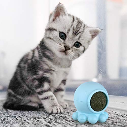 Simulação de brinquedo molar resistente a mordidas Polvo Rotação de 360 ??graus Bola de Catnip Estru