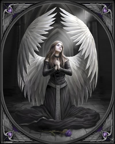Anne Stokes Prayer for The Fallen Angel Goth Dark Decorative Fantasy Art Poster Print 16 by 20