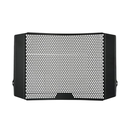 Trop-plein de moto et protection calandre radiateur Street Triple 675R