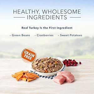 Blue buffalo family favorites natural adult wet dog food turkey day feast 12 5 oz can pack of 12   cucciolini doodles