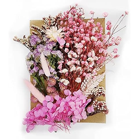Natürliche Getrocknete Blumen,Trockenblumen Set,DIY Gepresste Blumen,Echte Getrocknete Gepresste Blumen,Trockenblumen Resin,Getrocknete Blumen für Kunst DIY Harz Scrapbooking Handwerk Karten Machen Cover