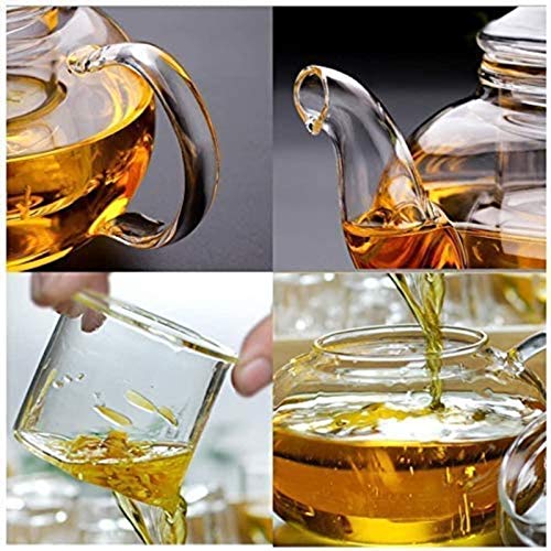 Bule de flores de vidro resistente ao calor, bule de vidro transparente com infusor de vidro e tampa