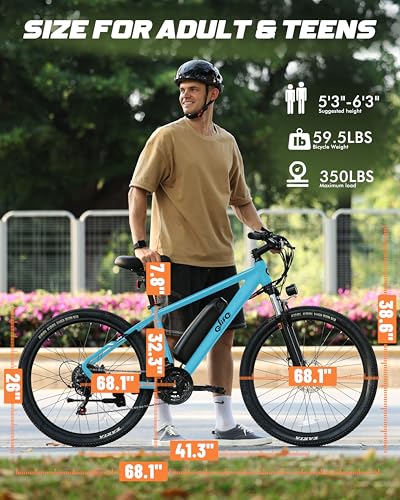 Qlife Racer 48V 375Wh Ebike