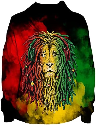 Qnyko Boys Girls 3D Graphic Hoodie Pullover, Novelty Unisex Hooded Sweatshirt with Pocket, Cool Long Sleeve Hoodies for Youth 6-16 Year (Lion)