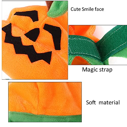 Disfraz de Halloween para perro XS con gorro y bufanda de calabaza miniatura 3