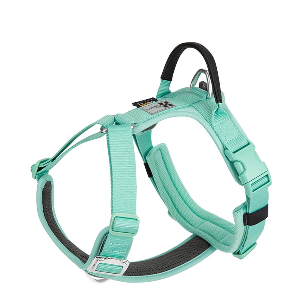 SMALL COMBINATION Dog Harness,No-pull Dog Harness,Adjustable Vest with Durable Handle,Small and medium-sized dog,Outdoor Training Walking Green(Aqua Green