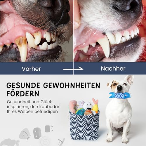Nocciola Sushi-Hundespielzeug für kleine bis mittelgroße Hunde, niedliches Plüschspielzeug mit Tasche, quietschendes Spielzeug für kleine bis mittelgroße Hunde, 10 Stück