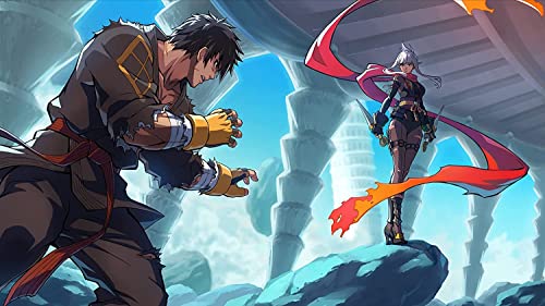 DNF Duel Nintendo Switch juego de lucha en formato físico 7