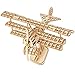 Rolife Woodcraft Kit di Costruzione Modello 3D in Legno Costruzione Kit Giocattolo Regalo di Puzzle (Airplane)