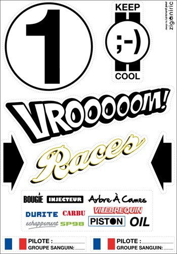 Zigoniric ZIG19R Auto Dekosticker