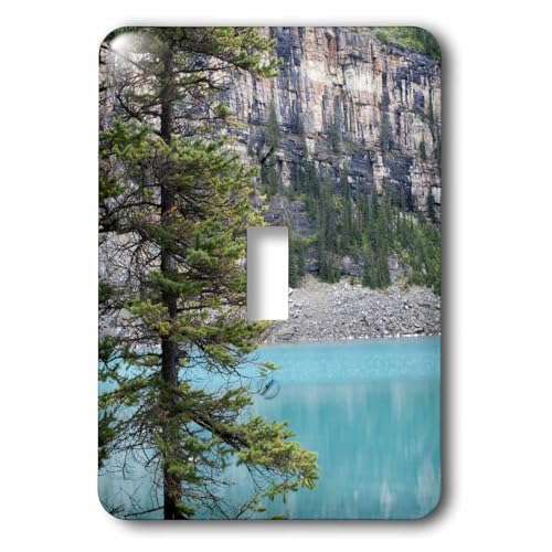 Interrupteur simple décoration murale forêt sapin Canada Banff 3dRose - 2