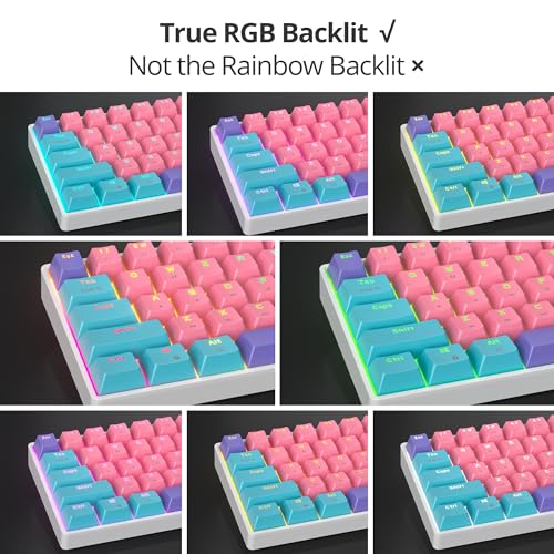 Image of Protable 60% Percent Gaming Keyboard Mechanical, Mini Compact RGB Backlit 61 Keys Wired Office Keyboard with red Switch for Mac /Win (Zhi /red Switch)