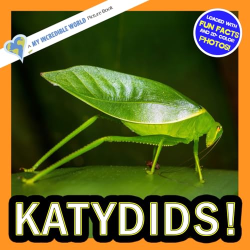 Katydids!: A My Incredible World Picture Book for Children
