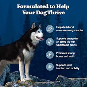 Blue-Buffalo-Wilderness-Adult-High-Protein-Dry-Dog-Food-with-Real-Chicken-Plus-Wholesome-Grains-Made-in-the-USA-with-Natural-Ingredients-Chicken-45-lb-Bag - Cucciolini Doodles   Blue-Buffalo-Wilderness-Adult-High-Protein-Dry-Dog-Food-with-Real-Chicken-Plus-Wholesome-Grains-Made-in-the-USA-with-Natural-Ingredients-Chicken-45-lb-Bag