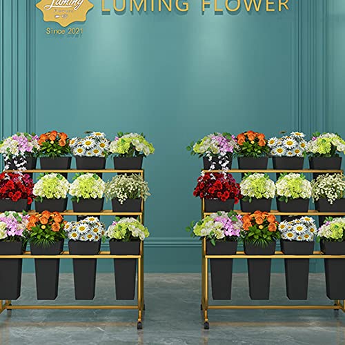 Présentoir à fleurs robuste à 3 niveaux pour présentation de plantes sans effort - 7