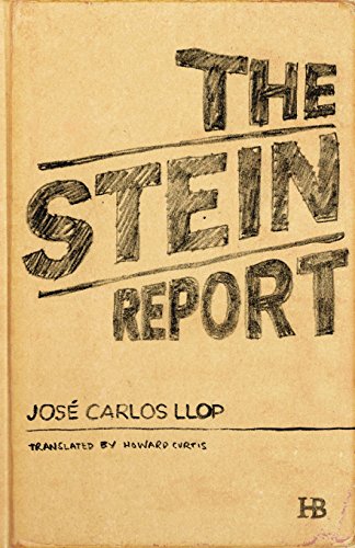 Stein Report view 2