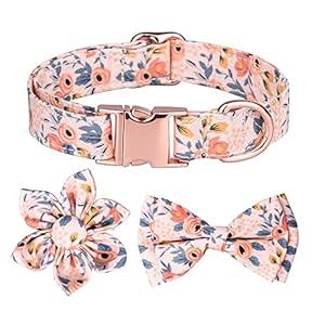 Dog Collar, Adjustable Dog Collars with Metal Quick Release Buckle, Daisy Tie & Bow tie Collar Dogs Collars (Orange)