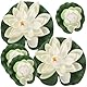 Seerosen Künstlich5 STK Künstliche Lotusblume Schwimmende Teichdekoration Seerose Ornament für Gartenterrasse Pool Aquarium Dekoration (Weiß)