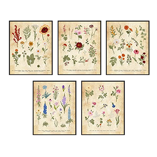 Exotic Botanical Prints - Set of Five (8x10in) Jungle Botanical Wall Art Posters Floral Wall Art Room Decor - Plant Posters & Wildflower Prints, Plant Prints - Unframed Vintage Botanical Prints