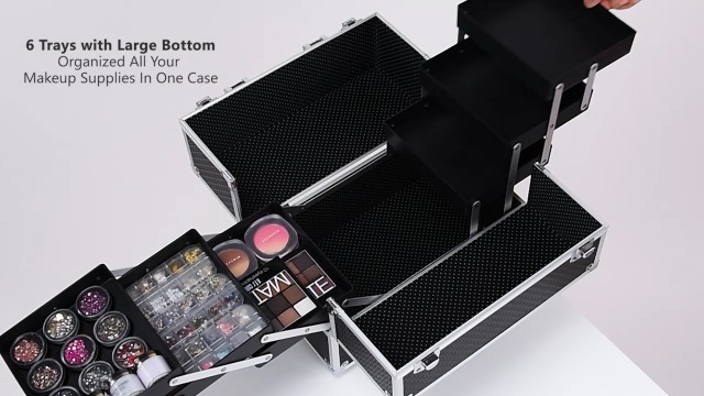 Amazon.com : FRENESSA Makeup Train Case Makeup Case 11.8 Inch