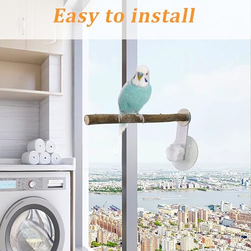 Image of 2 PCS Bird Perch with Suction Cup Window Wall Bath Car Outdoor Travel Perch Stand for Small and Medium Bird Parrot Parakeet Cockatiel Conure Budgie Lovebirds (Pepperwood and Colored Wood Perch)