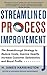 Streamlined Process Improvement