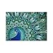 Produktbild sunnymi 5D Full Diamant Malerei, Planet Diamant Zeichnung DIY Stickerei Gemeinsame Painting Kreuz Stich Diamond Dekoration (Pfau, 40x30cm)