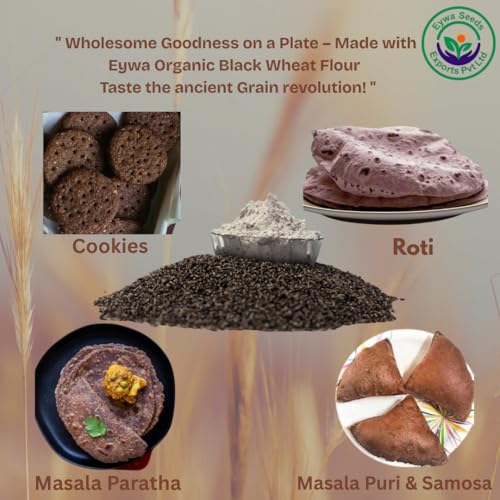 Image of Eywa Seeds & Exports Pvt Ltd Organic Black Wheat Flour (15 Kg) For Eating And Cooking|Kale Gehu Ka Atta|Produce Of India From Organic Farms