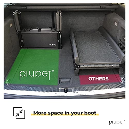 Portable and Practical 3 Best Folding Pet Ramps for Travel in the UK