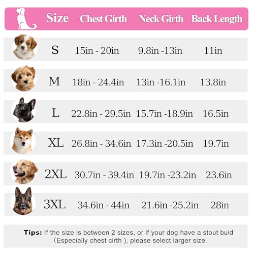 Chaqueta reflectante para perro ideal para paseos nocturnos lluviosos 6