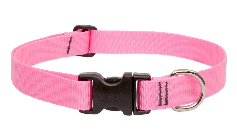 Collier de chien réglable pour petits et moyens chiens - Sangle de cou solide Lupine