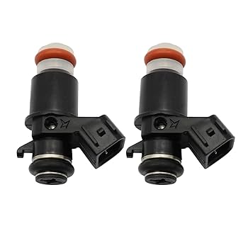 Amazon.com: FZJDSD 1571014G00 2Pcs Fuel Injectors Spray