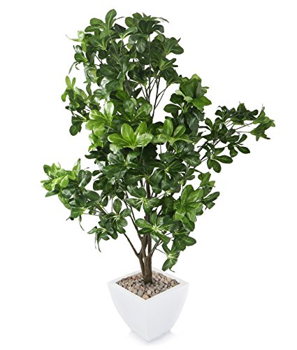 Closer2Nature T081W - Schefflera con maceta, 137 cm