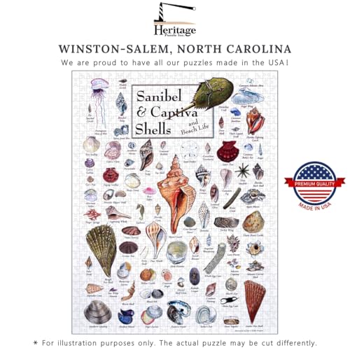 Heritage Puzzle Shells of Sanibel & Captiva 550 Piezas | Rompecabezas de 550 piezas para adultos, arte de pared de naturaleza costera, rompecabezas encuadrables 24" x 18" tamaño final miniatura 3