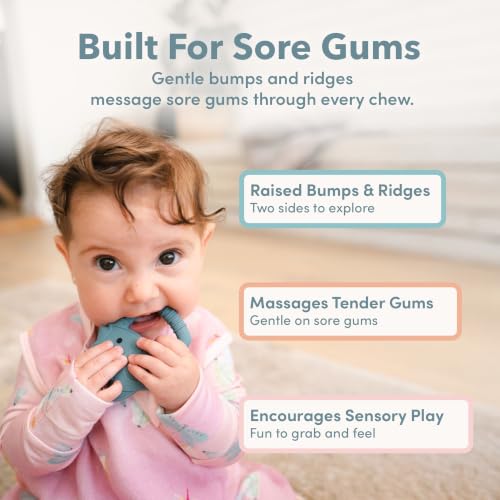 Image of Loulou Lollipop Wild Silicone Teether for Babies 4 Months and Up, Textured Teething Ring for Sore Gums, BPA-Free Food-Grade Silicone, Easy-Grip Open Shape, Dishwasher & Freezer Safe, Shell Pink