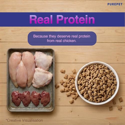 Image of Purepet Adult Dry Cat Food 1kg Pack | Real Chicken Flavour | Prevents Hairballs | Supports Cardiac Function | Promotes Skin Wellness | Enriched with Taurine