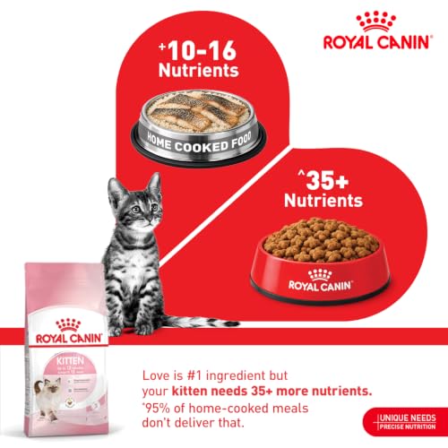 Image of Royal Canin Kitten Food for Stage 3 Kittens, 1.2 Kg, Dry Food, Supports Strong Immune System & Brain Development
