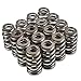PAC-1219 (16pcs) Valve Spring, Beehive Springs Kit Compatible with GM LS Engine 4.8 5.3 5.7 6.0 6.2 (0.625