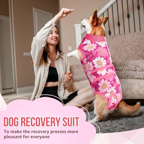Image of Lukovee Recovery Suit for Dogs, Female Male Spay Neuter Post Surgery Suit | Zipper on Onesie,Soft Breathable, Adjustable Abdominal Wounds Prevent Licking, Cone E-Collar Alternative (Daisy, M)