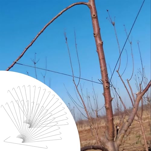 Herramienta para doblar ramas de árbol 100 pzas 15.7 in miniatura 1