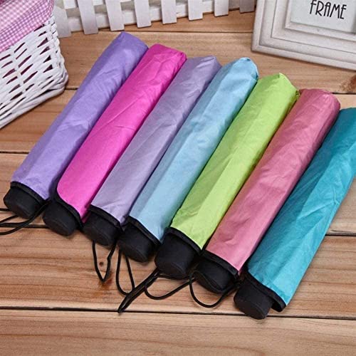 Image of HomeCloud Magic Umbrella Windproof, Sunproof & Rainproof with Sturdy Steel Shaft & Wrist Straps | Secret Blossoms Occur with Water Magic Print | Easy to Hold & Carry | Umbrella for Women, Men & Kids