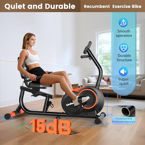 Image of Recumbent Exercise Bike for Home,Recumbent Stationary Bikes for Adults & Seniors,Load Capacity of 400 pounds,Equipped with 16 Adjustable Gears, and Soft Adjustable Seats