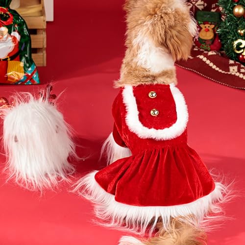 Disfraz navideño para perro XL set suave y cómodo miniatura 3